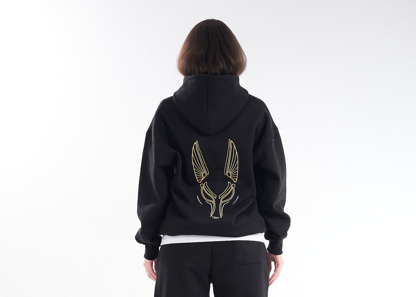 Black Shedy Anubis – The Shadow Guardian