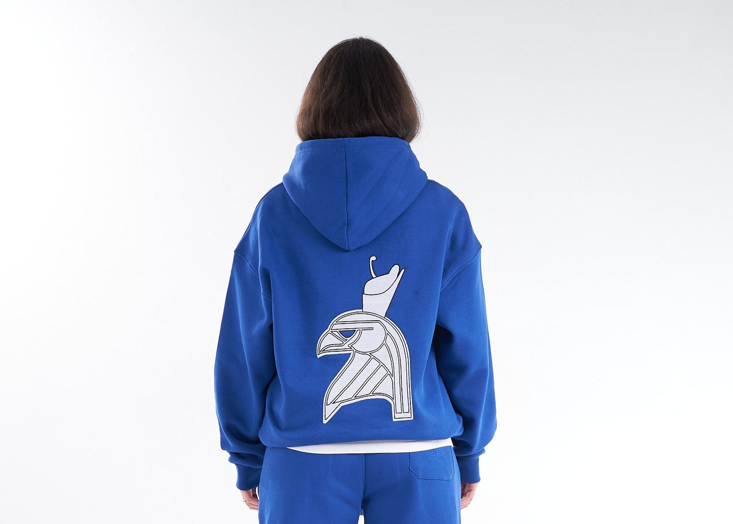 Blue Shedy Horus – The Sky Guardian