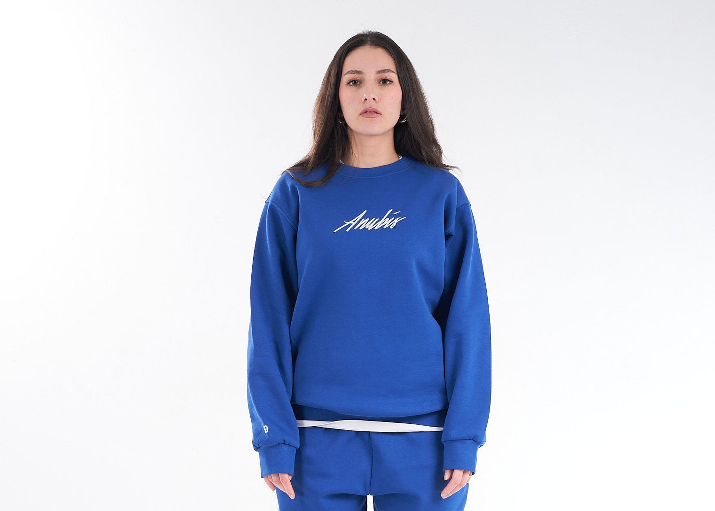 Blue Shedy Anubis Crewneck – The Celestial Protector