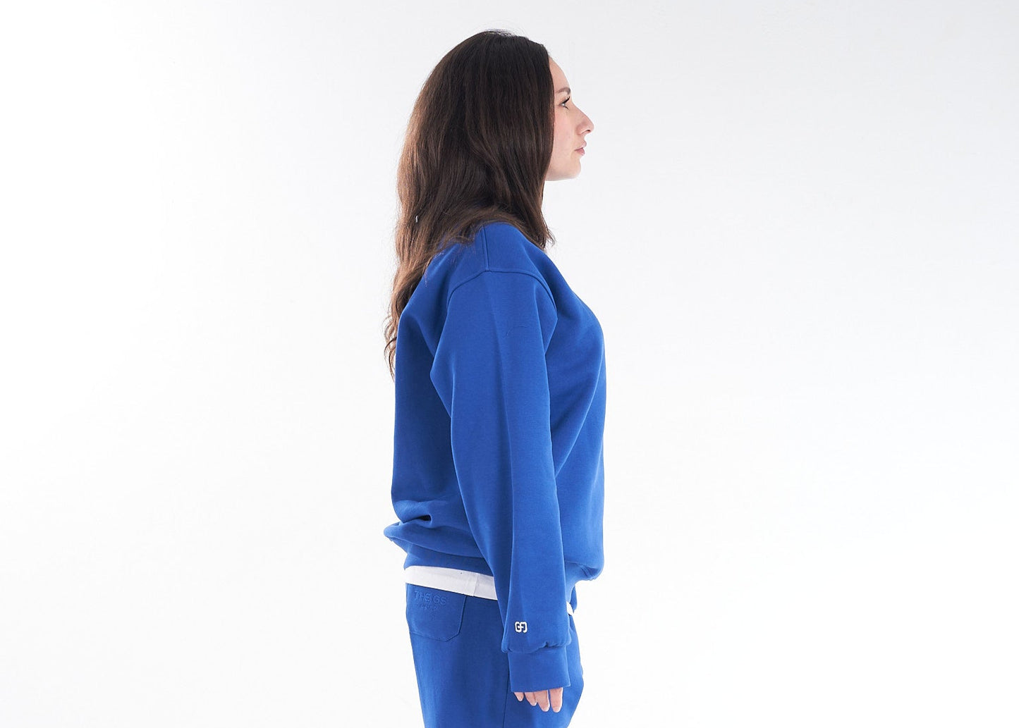 Blue Shedy Anubis Crewneck – The Celestial Protector